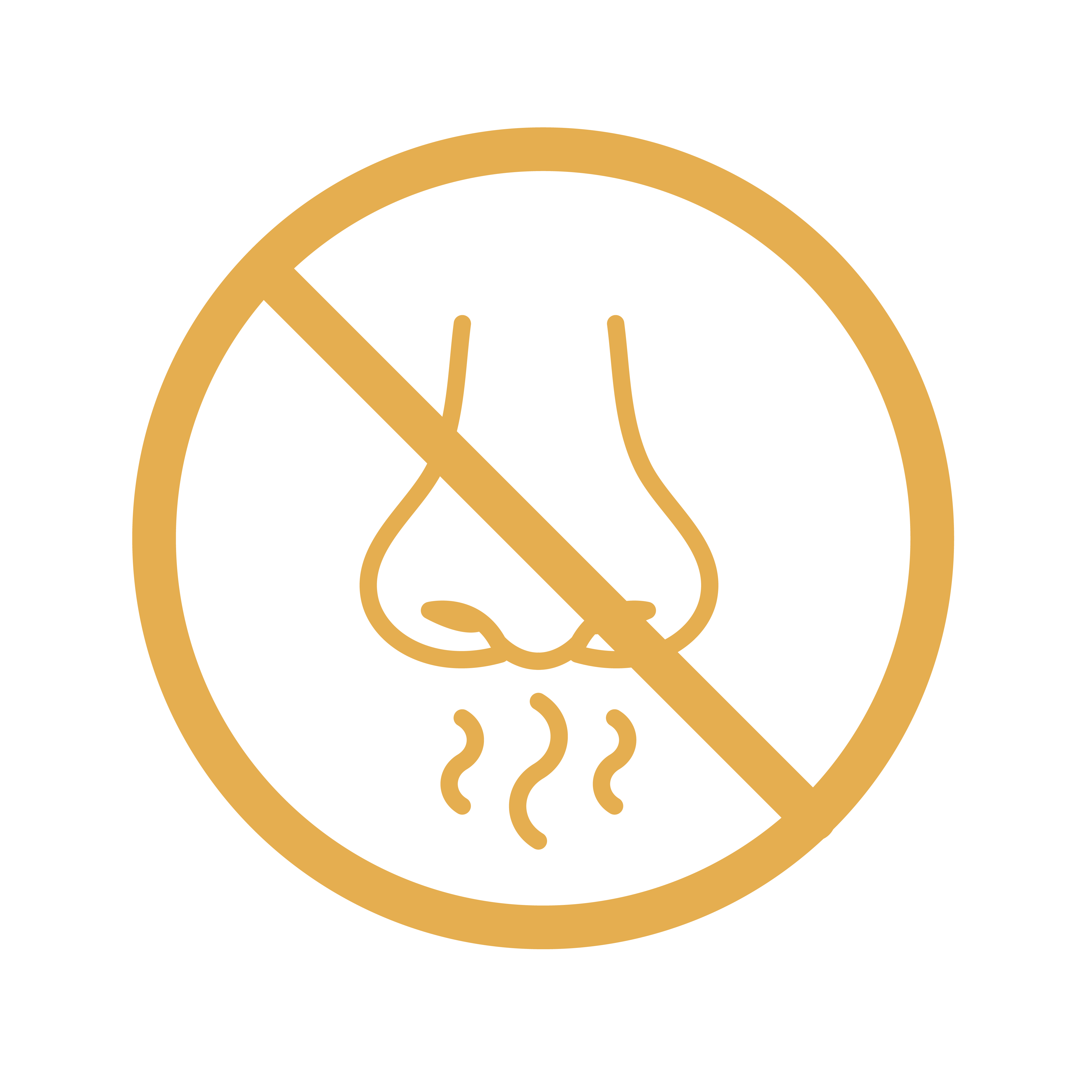 no smell